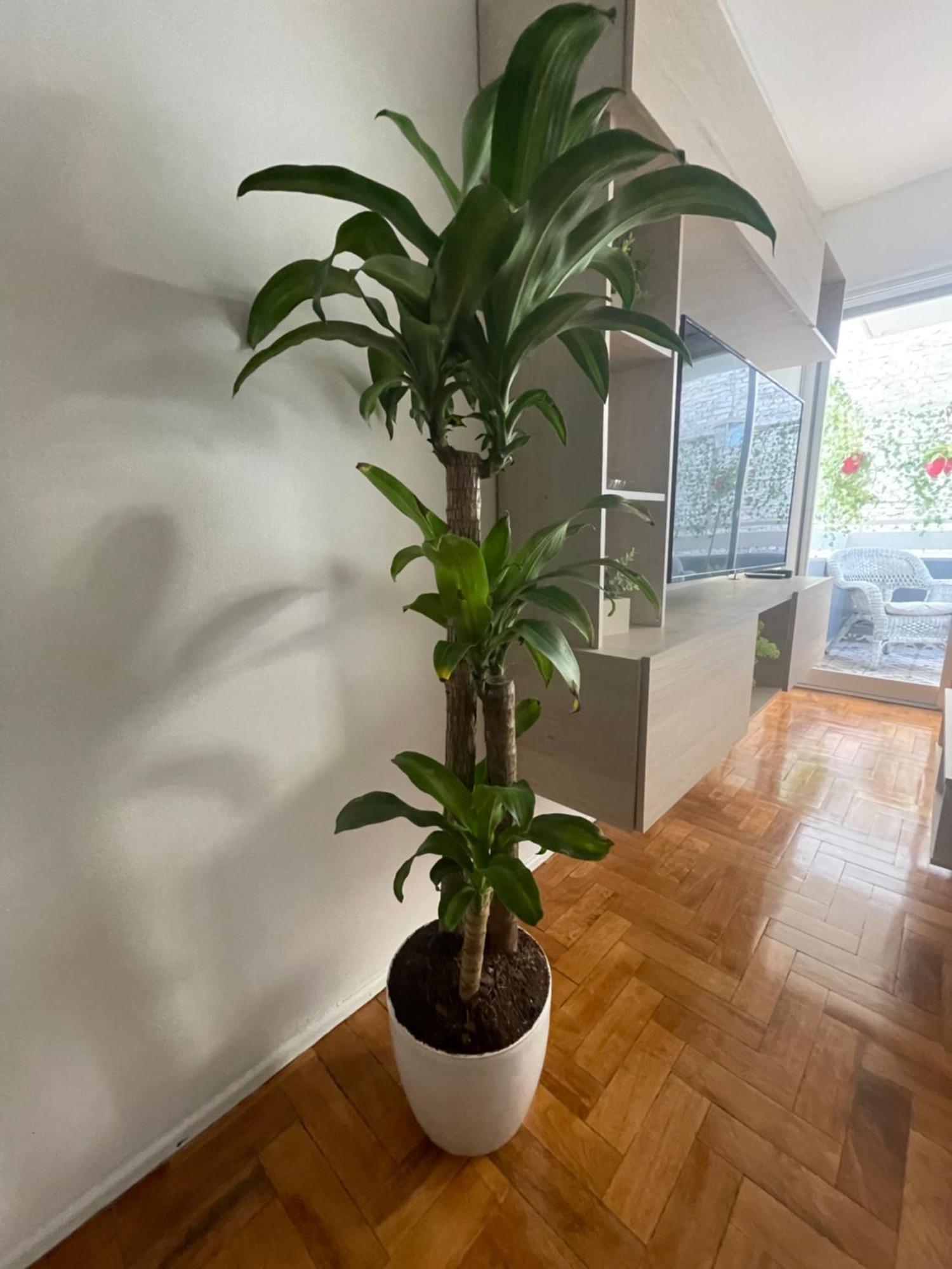 Departamento En Peatonal Mendoza公寓 外观 照片